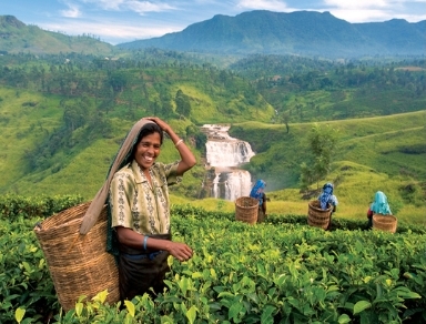 斯里蘭卡 Sri Lanka